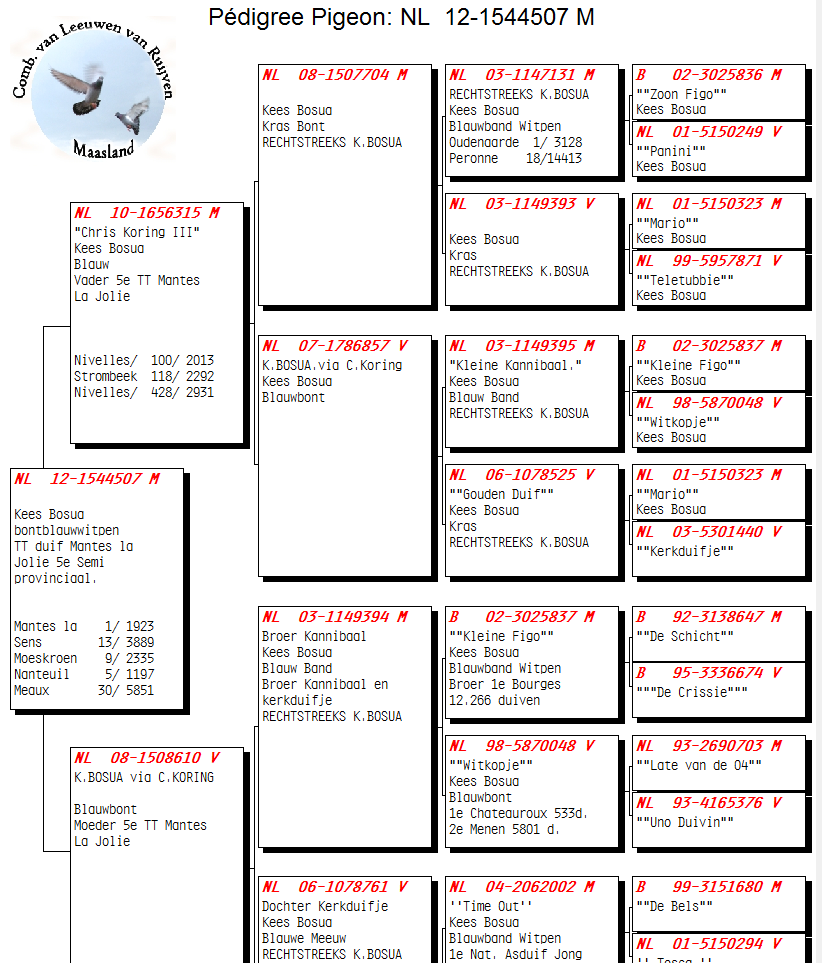 Update    Compustam V8  naar V9 release '23  incl Cloud