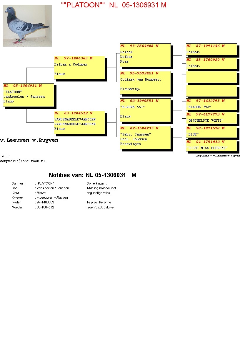 Compustam version 9 release 2022 incl 1 year free Cloud